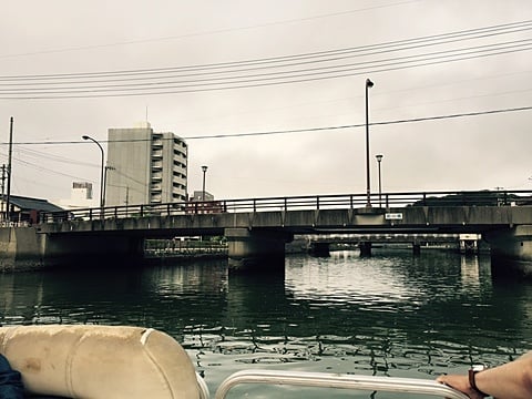 周遊船から！会社の近くの前川橋です